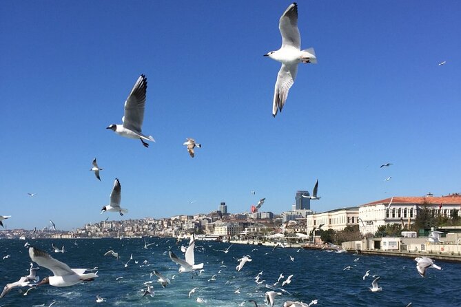 2-Hour Private Luxury Yacht Cruise on Bosphorus with Transfers - Price and Value: $1,140 for Up to 8 People