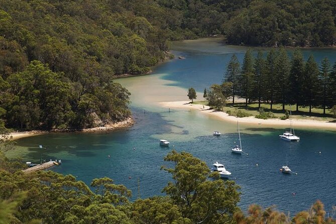 3-Hour Private Skippered Sailing Yacht Charter in Palm Beach - Barrenjoey Headland and the lighthouse walk for big views