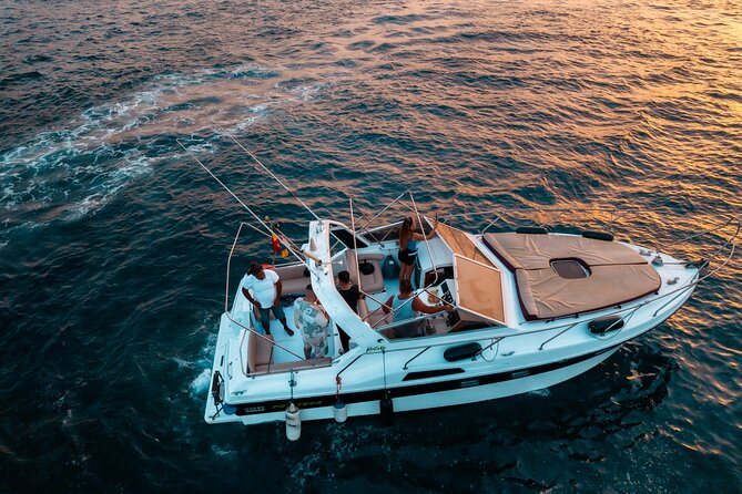 3 Hour Shared Motor Yacht Boat Trip & Snorkeling With Small Group - Whale-and-Dolphin Watching With Real-World Ocean Time