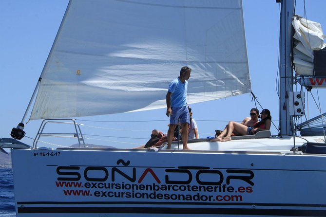 3 Hours All Inclusive Whale and Dolphin Whatching Yacht Trip - Shared vs private: who should pick which
