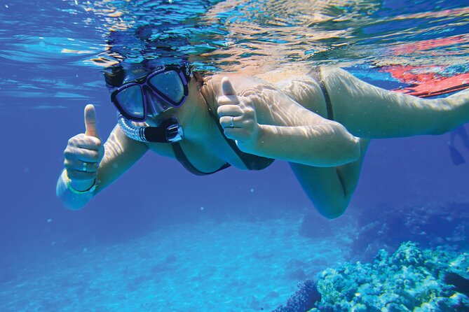 4 Hour Private Yacht Tour Mallorca - Playa Portals Vells: your main swimming stop and why the timing matters