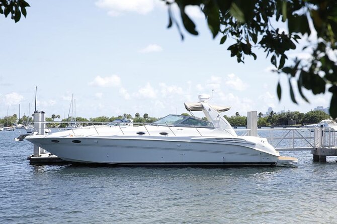 45 Ft Private Yacht Rental in Miami - What the “Stop and Swim” Time Actually Feels Like