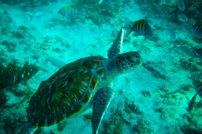 4H private 40' Yacht All-Inclusive in Tulum & Playa del Carmen - Fishing on the Catamaran: Fun If You Like Hands-On