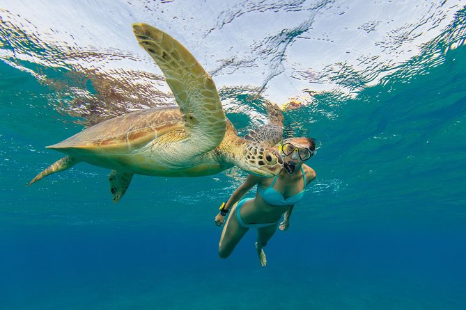 50' Luxury Yacht. Private Full or Half Day Catamaran Snorkel, & Beach Experience - Food and Drinks: What’s Included, What’s Not, and How to Plan Lunch