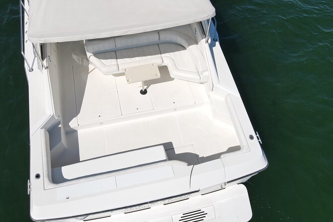 50ft Luxury Yacht Tour in Miami Beach Captain, Fun & Party! - Jungle Island and the Design District: switch from classic Miami to high-end Miami