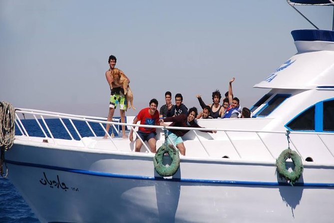 Ain Sokhna Red Sea Day Use Yacht from Cairo - Private yacht time: what you can do onboard