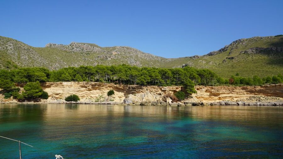 Alcudia: Sailing Yacht Excursion with Wine & Tapas - Food and wine onboard: what the menu actually means