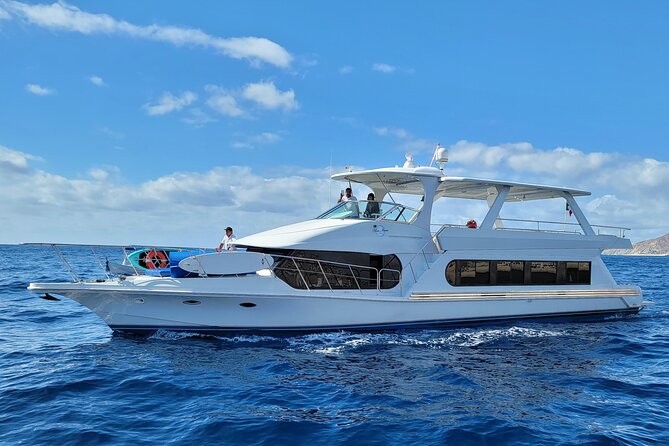 All Inclusive HUGE 75ft Yacht Up to 50 Guests Early Bird Promo - How the 3-Hour Plan Works (and Why It Matters)