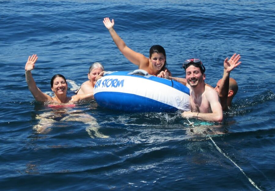 Always private 4 hour - Sail- dolphin Yacht Charter-paddle - Dolphin spotting near the Strait: improving your odds the practical way