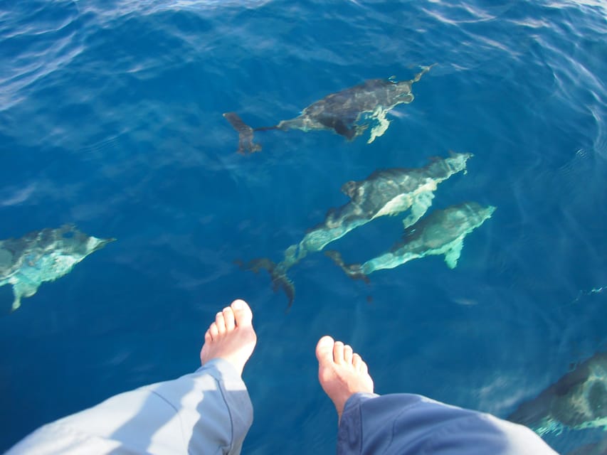Always private 4 hour - Sail- dolphin Yacht Charter-paddle - Extras that can turn a good day into a great one