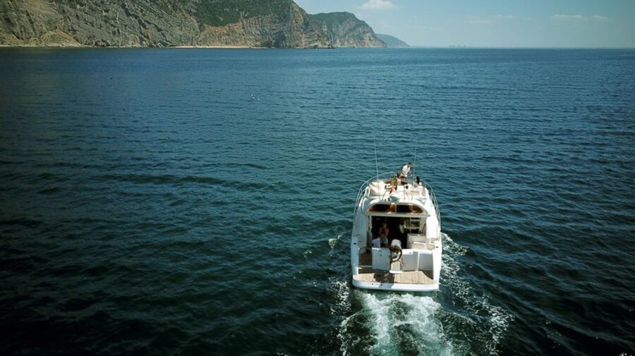 Arrábida Full-Day Yacht Tour from Lisbon - Dolphins and rare birds: how to enjoy wildlife time