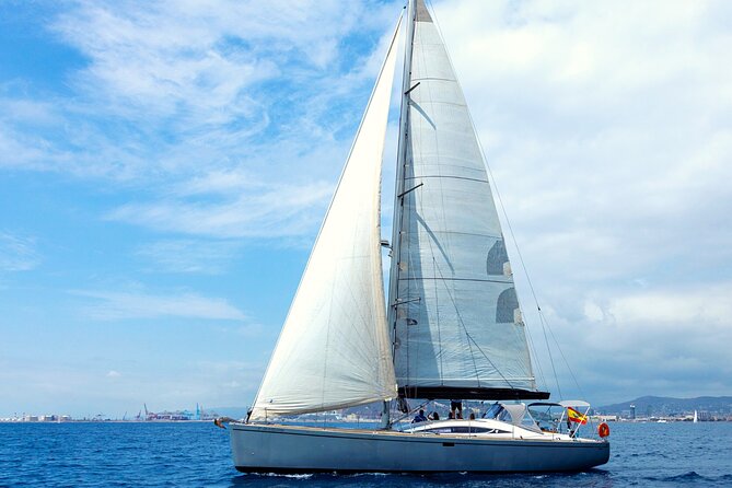 Barcelona Luxury Yacht Cruise – Day or Sunset, Open Bar & Snacks - The swim break and marine-life odds (including dolphins)