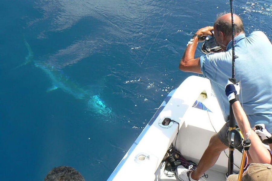 Barcelona: Privat fishing trip in a yacht - Key things to know before you go