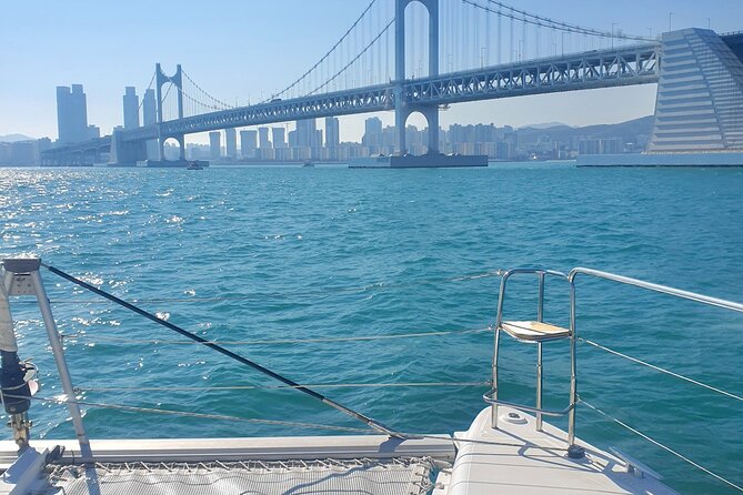 Busan Bliss: Panoramic Yacht & Urban Exploration with Sky Capsule - Transport, Guides, and Group Size That Actually Matter