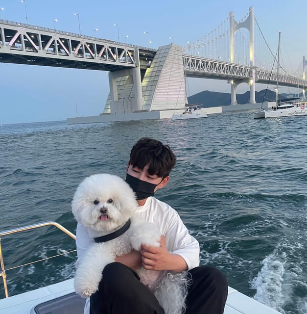 Busan: Group Sightseeing Yacht Cruise with Snacks and Drinks - What you’ll actually see: Gwangan Bridge, Marine City, and the river ride