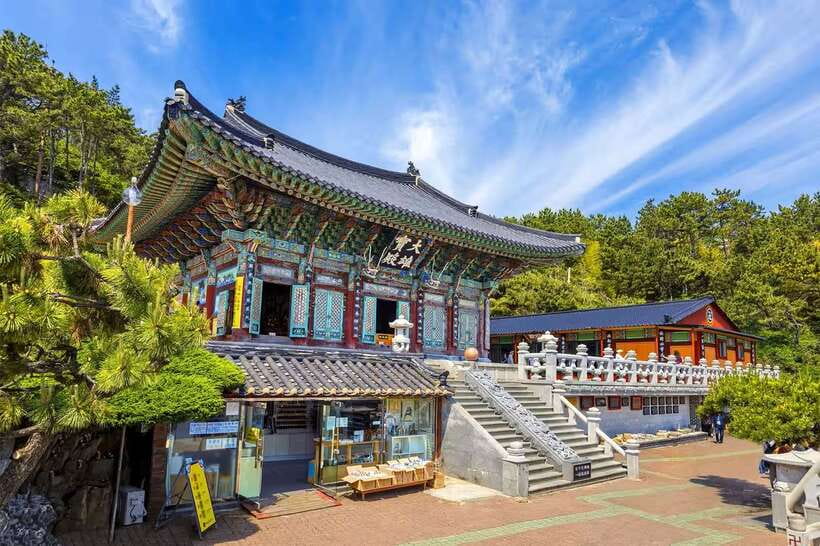 Busan's Best: Sea Temples, Yacht Tour & Sky Capsule Day Tour - Yacht Cruise and Skyline Views: Your Best Chance for a Different Busan