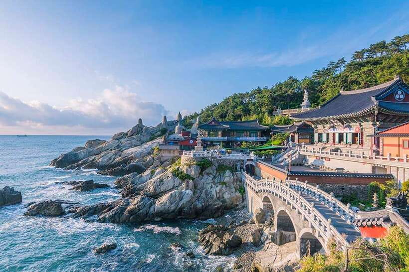 Busan's Best: Sea Temples, Yacht Tour & Sky Capsule Day Tour - Who Should Book This Tour (and Who Might Not)