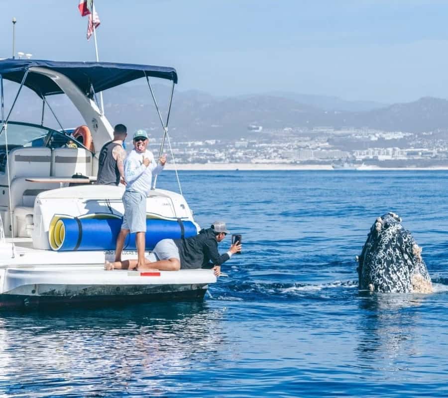 Cabo: Private Yacht Tour, Water Activities, Lunch & Drinks - Should You Book This Private Yacht Tour?