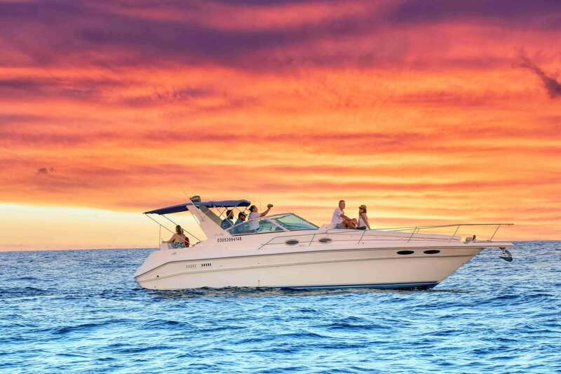 Cabo San Lucas Private Yacht 1 Hour Express Highlight Cruise - Sea Lion Colony: Wildlife Viewing Without the Stress