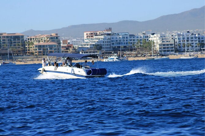 Cabo San Lucas Private Yacht Tour with Snorkel - Cabo San Lucas stop: wildlife potential, including sea lions