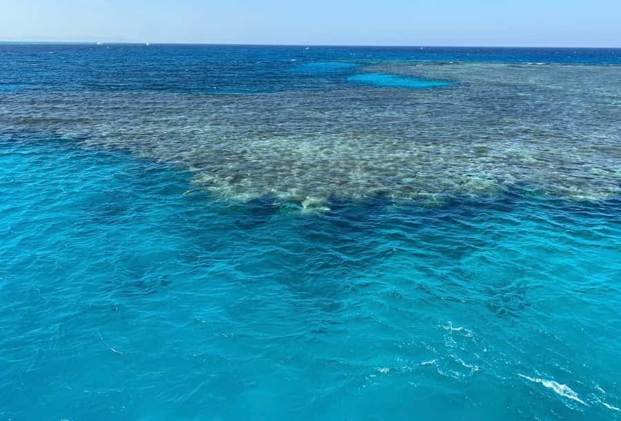 Cairo to Red Sea: VIP Yacht Cruise, Snorkeling & Lunch - Jabal el Sakka snorkeling: two guided stops, one reef area