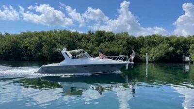 Cancún: Private Yacht Tour - What You’ll See From the Yacht: Lagoon Channels, Mangroves, and Open Sea