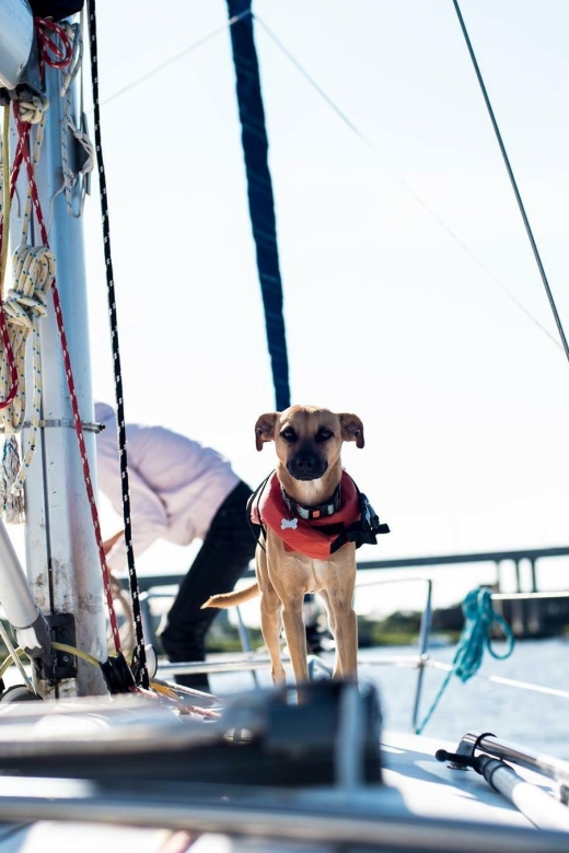 Charleston: Private BYOB Luxury Yacht Cruise - Daytime vs Sunset: Choosing the Best Light for Photos and Vibes