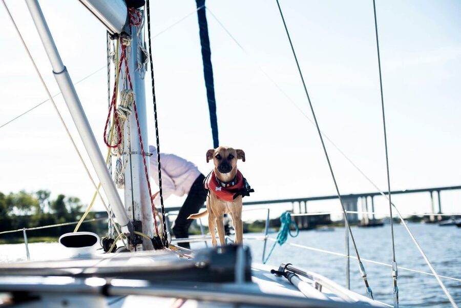 Charleston: Private BYOB Luxury Yacht Cruise - Boat Type and Comfort: Monohull Sailing or a Spacious Motor Yacht
