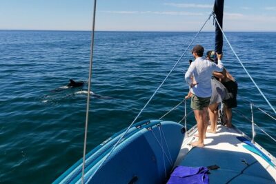 Coastal Tour on a Luxury Sailing Yacht From Vilamoura - Luxury sailing, real relaxation: on board with drinks and a small crew