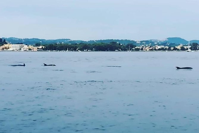Corfu Private Yacht Cruise - Garitsa Bay, Mouse Island, and that weirdly perfect photo moment