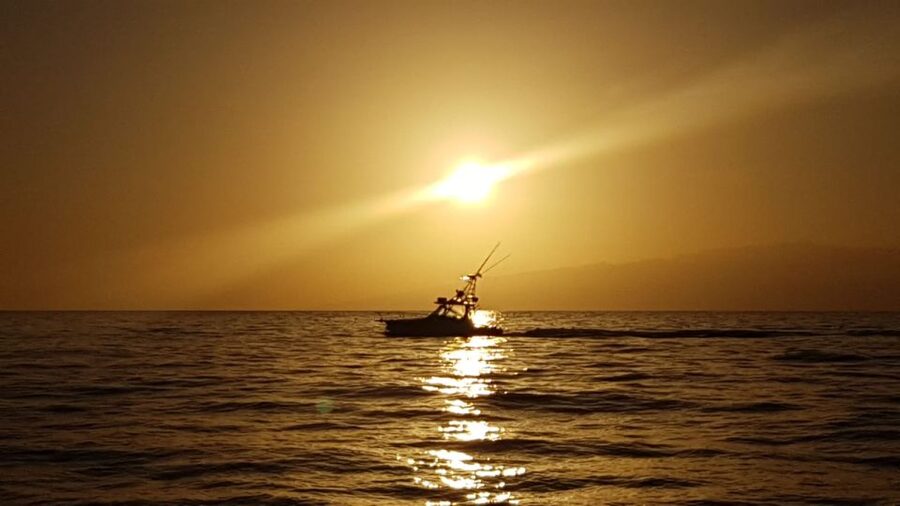 Costa Adeje: Private Yacht Sailing Tour from Puerto Colón - Wildlife Spotting in the Atlantic Without the Hassle