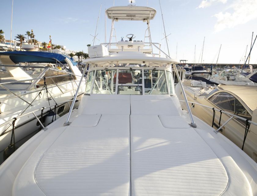 Costa Adeje: Private Yacht Sailing Tour from Puerto Colón - Should You Book This Costa Adeje Private Yacht Sailing Tour?