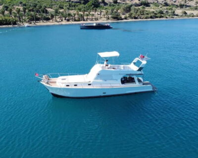 Discover Bodrum's Hidden Gems on a Private 3-Hour Yacht Trip - Hattat Bay swim stop: palm-framed water and optional snorkeling