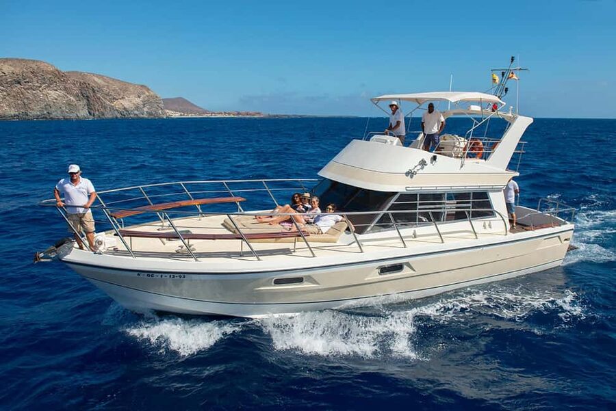 Discover whales in Tenerife: exclusive yacht tour with swim and lunch - Key things that make this Tenerife whale yacht tour worth your time