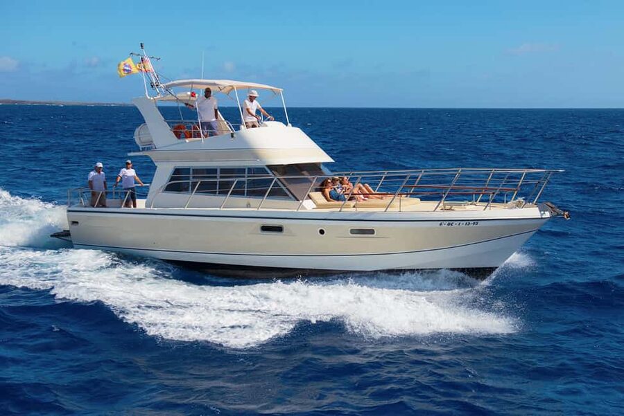 Discover whales in Tenerife: exclusive yacht tour with swim and lunch - A Small Yacht for Whale Watching From Los Cristianos