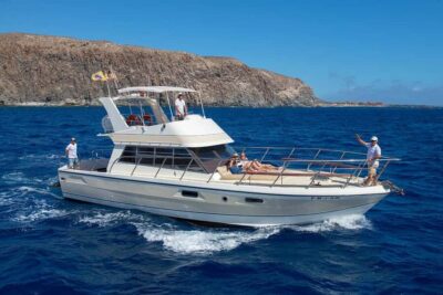 Discover whales in Tenerife: exclusive yacht tour with swim and lunch - Responsible Wildlife Watching With the Blue Flag