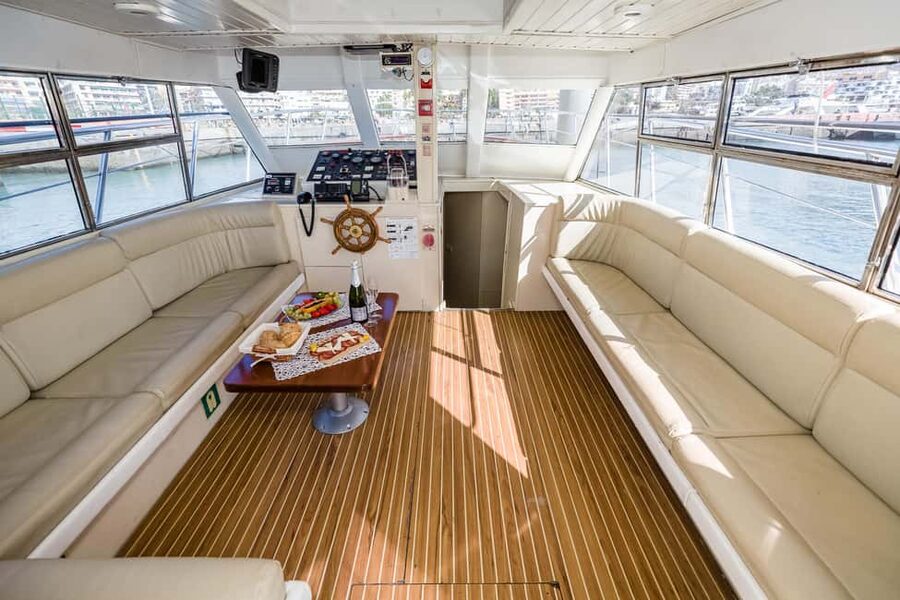 Discover whales in Tenerife: exclusive yacht tour with swim and lunch - What You Can Realistically See: Pilot Whales, Dolphins, and Turtles