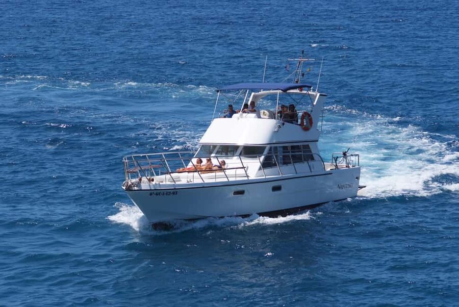Discover whales in Tenerife: exclusive yacht tour with swim and lunch - Who This Yacht Tour Fits Best in Tenerife