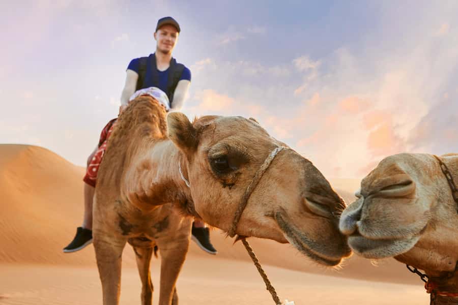 Dubai Waves & Dunes: Luxury Yacht Cruise w/ Red Dunes Safari - 1-Hour vs 2-Hour: How to Choose the Right Cruise