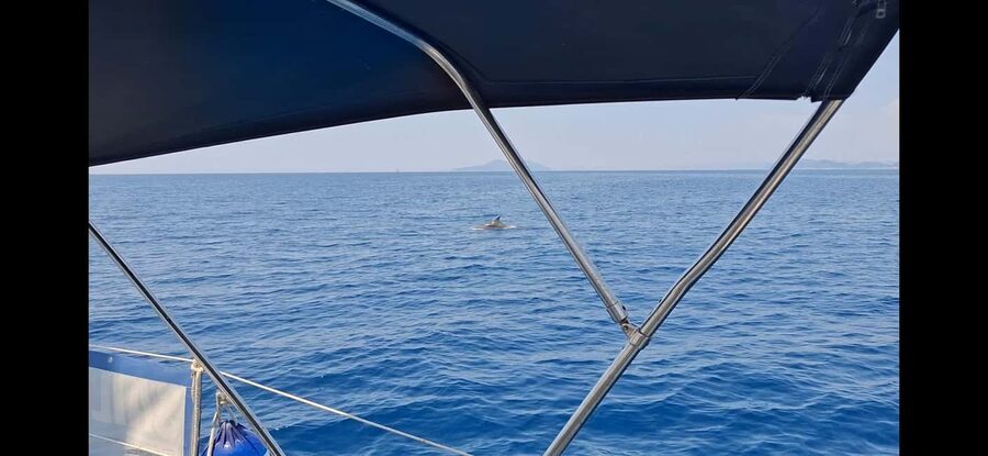 Dubrovnik yacht cruise-Elafity islands & Blue cave - Sailing between coves: the part most people underestimate