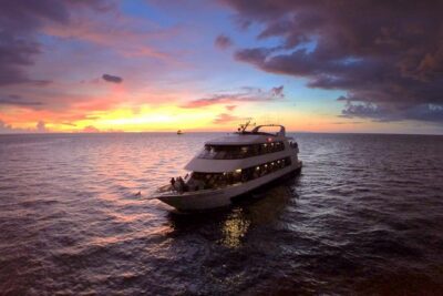 Evening Yacht Cruise with Optional Dining in St. Petersburg - Quick hits