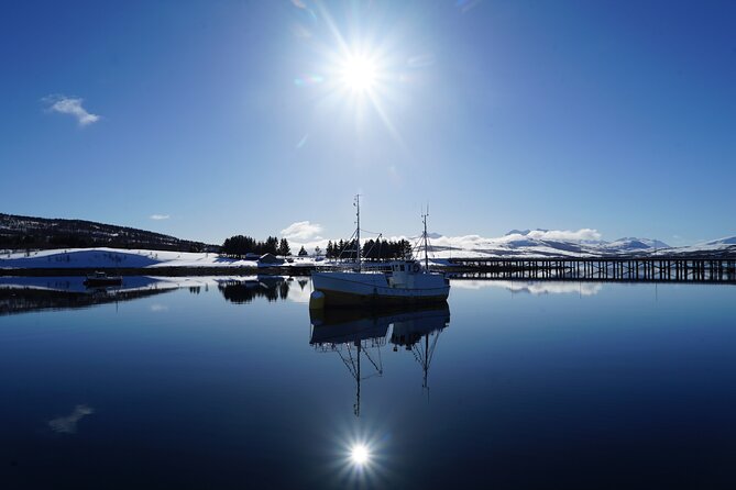 Fjordcruise - Luxury Yacht Arctic Queen - Northern lights and wildlife: occasional chances from the water