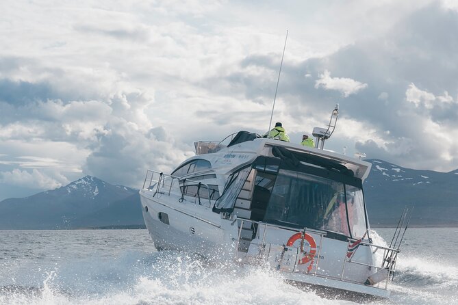 Fjordcruise - Luxury Yacht Arctic Queen - The Tromsø route: Håkøya, Eidskjosen, Sørbotn slowdown, and Grindøya
