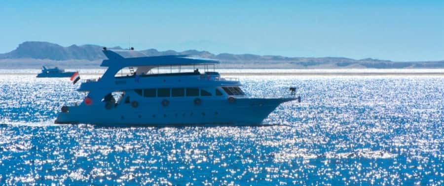 From Cairo: Snorkeling Trip on Yacht with Lunch - Snorkeling expectations at Ain Sokhna: what’s good and what to watch