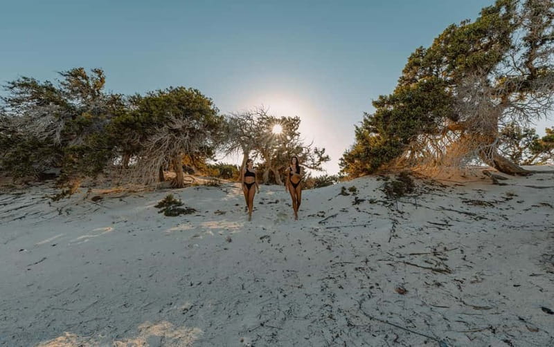 From Ierapetra: Chrissi Island Yacht Cruise with Lunch - Chrissi Island walk: cedars, white dunes, and views that shift fast
