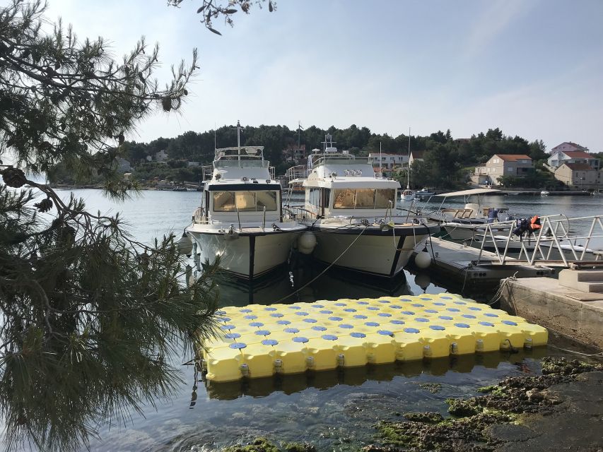 From Korcula island: Mljet Island Yacht Day Trip with Lunch - The lunch on board: Mediterranean, three courses, and wine included