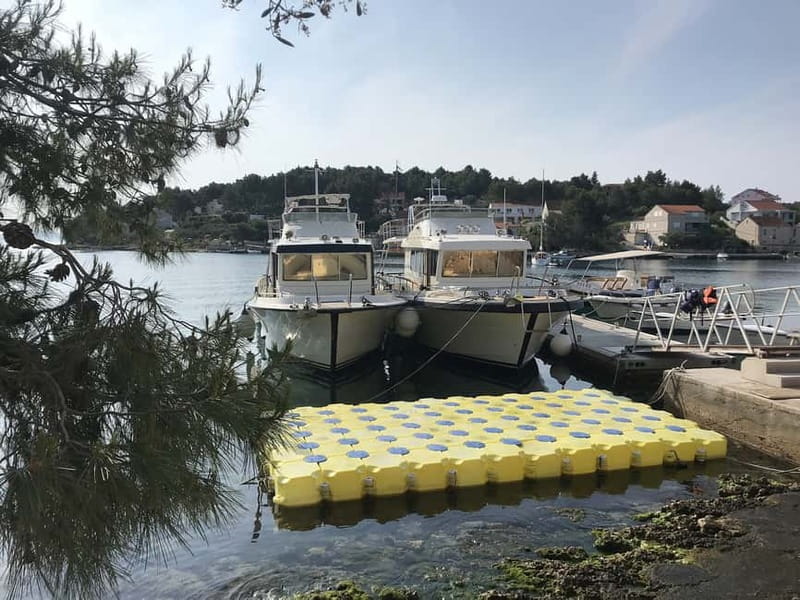 From Korcula island: Mljet Island Yacht Day Trip with Lunch - Booking tips and what to bring so the day runs smoothly