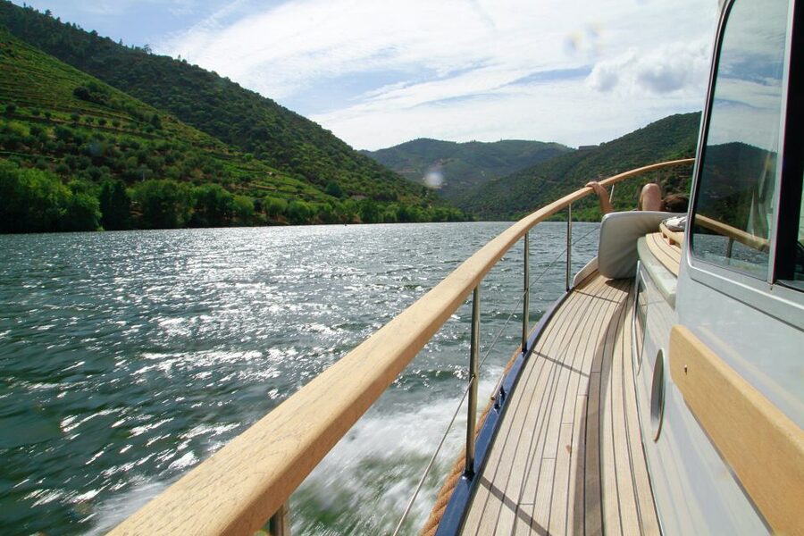 From Pinhão: Private Yacht Cruise along the Douro River - Price and value: is $82 a fair deal for a private yacht cruise?