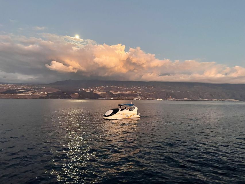 From Tazacorte: Discover the Northwest Coast by Speedy Yacht - Marine Life Chances: Dolphins, Grind Whales, and Why Timing Helps