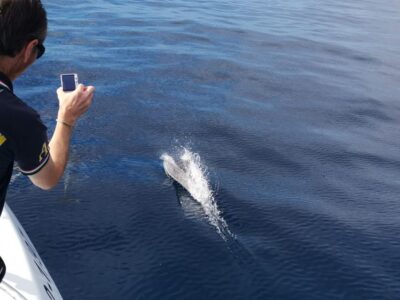 From Tazacorte: Discover the Northwest Coast by Speedy Yacht - La Palma’s North Coast: The Cave Circuit That Makes the Trip Feel Special